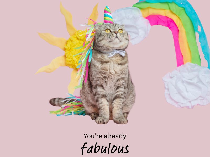 A cat looking fabulous with a rainbow and a party hat